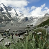 Zdjęcie z Austrii - Tych kwiatków nazwy nie rozszyfrowałam. Ale widok za nimi super 😊