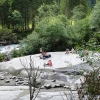 Zdjęcie z Austrii - Można tu się zrelaksować na dużych, gładkich kamieniach 😊