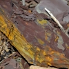 Zdjęcie z Australii - Kolorowy łupek skalny