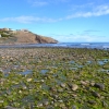 Zdjęcie z Australii - Ujscie rzeki Field River i algi slodkowodne