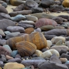 Zdjęcie z Australii - Kolorowe kamienie na Hallett Cove Beach