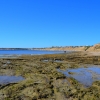Zdjęcie z Australii - Pop drugiej stronie cypla widac zatoke Pt Willunga