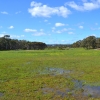 Zdjęcie z Australii - Podmokła łąka - zapewne tylko w zimie