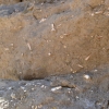 Zdjęcie z Australii - Na skalach skamieliny slimakow sprzed milionow lat