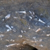 Zdjęcie z Australii - Wszedzie skamieliny sprzed milionow lat