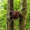 Zdjęcie z Polski - jakaś pajęczyca zasiadła se na drzewku 😜