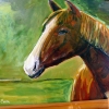 Zdjęcie z Polski - w łączniku z Oranżerią znajdują się portrety koni