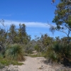 Zdjęcie z Australii - Na piaszczystym szlaku
