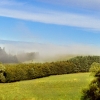 Zdjęcie z Polski - mimo słonka - mgła się utrzymuje.... 