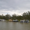 Zdjęcie z Australii - Miedzy nowoczesnymi hauseboatami zaparkowane jakies stare cacko