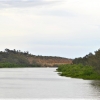 Zdjęcie z Australii - Rzeka Murray