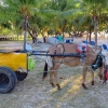 Zdjęcie z Kuby - Na plaży hotelu Carisol los Corales
