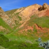 Zdjęcie z Australii - Kolorowe skaly...