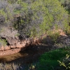 Zdjęcie z Australii - Wąwóz strumienia Waterfall Creek