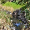 Zdjęcie z Australii - Strumien Field River, ktory jako jeden z niewielu