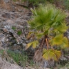 Zdjęcie z Australii - W dole maly wodospadzik