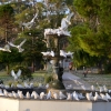 Zdjęcie z Australii - Woda z fontanny jest widać mniam mniam :)