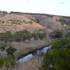 Zdjęcie z Australii - Z kościelnego wzgórza obserwujemy sznur papug lecacych na nocleg