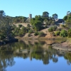 Zdjęcie z Australii - Nad rzeka Onkaparinga - tym razem nie ma roju papug