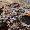 Zdjęcie z Australii - Szare i rdzawe porosty na skalach