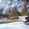 Zdjęcie z Polski - parkowy staw