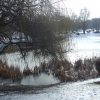 Zdjęcie z Polski - zima w parku