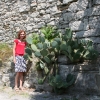 Zdjęcie z Chorwacji - Kaktus