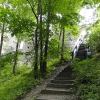 Zdjęcie z Polski - Wchodzimy na wzgórze zamkowe ścieżką prowadzącą przez urokliwy las