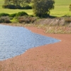 Zdjęcie z Australii - Czerwona rzęsa wygląda jak plywający dywan