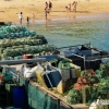 Zdjęcie z Portugalii - pełno tu sieci i innych rybackich szpargałów