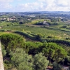 Zdjęcie z Portugalii - z jednej strony view na winnice...