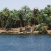 Zdjęcie z Egiptu - Egipt