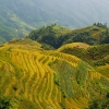 Zdjęcie z Chińskiej Republiki Ludowej - Tarasy ryżowe