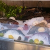 Zdjęcie z Francji - widok ryb w sklepowych witrynach