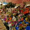 Zdjęcie z Francji - jest sektor pamiątkarski, kwiatowy i owocowo-warzwny