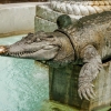 Zdjęcie z Francji - Krokodyl- symbol herbowy Nimes