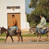 Zdjęcie z Maroka - Podróż na osiołku