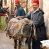 Zdjęcie z Maroka - Medina w Fezie