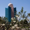 Zdjęcie z Zjednoczonych Emiratów Arabskich - AL FUJAIRAH