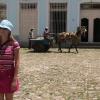 Zdjęcie z Kuby - konne bryczki są 