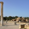 Zdjęcie z Tunezji - Łaźnia Antoniusza