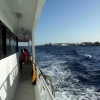 Zdjęcie z Egiptu - z łodzi