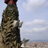 Zdjęcie z Hiszpanii - iglica Sagrada Familia