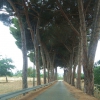 Zdjęcie z Włoch - Wjazd do nekropolii 