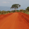 Zdjęcie z Kenii - czerwona ziemia Tsavo