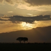Zdjęcie z Kenii - 