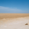 Zdjęcie z Tunezji - Słone Jezioro