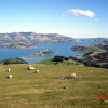 Zdjęcie z Nowej Zelandii - Piekne widoki pomiedzy...