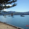 Zdjęcie z Nowej Zelandii - Piekna Akaroa