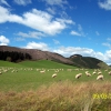 Zdjęcie z Nowej Zelandii - Pustkowia, przestrzenie i